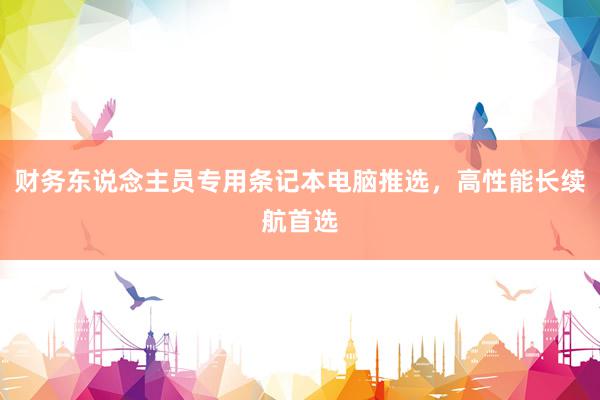 财务东说念主员专用条记本电脑推选，高性能长续航首选
